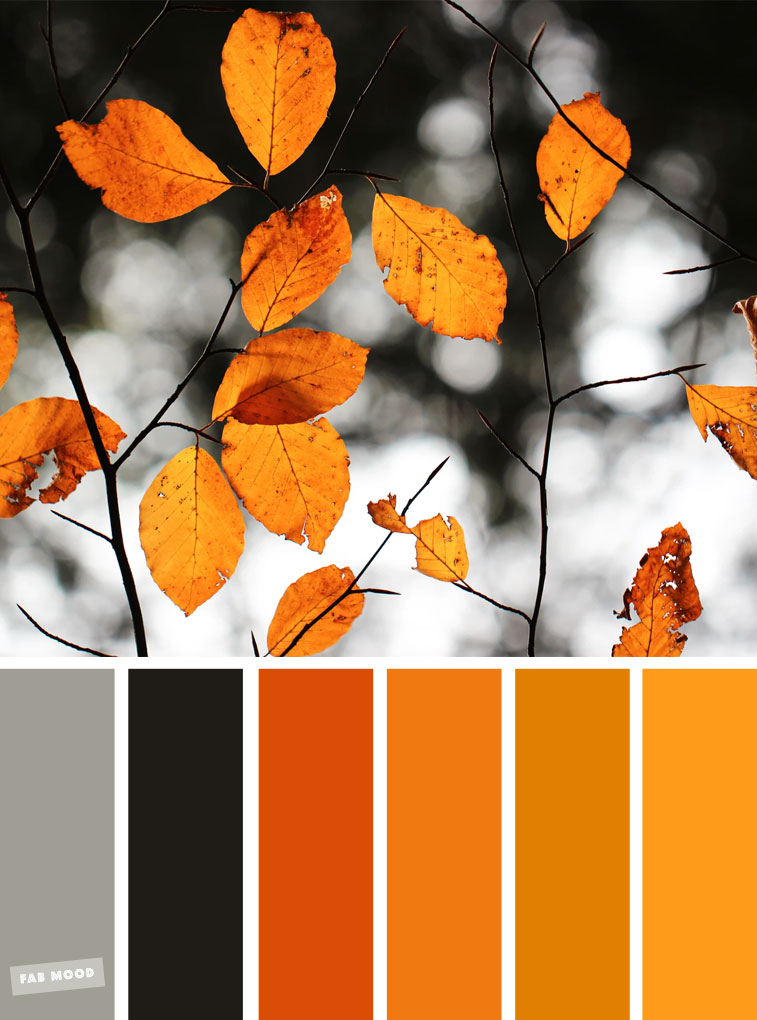 What Colors Go With Burnt Orange A Comprehensive Guide