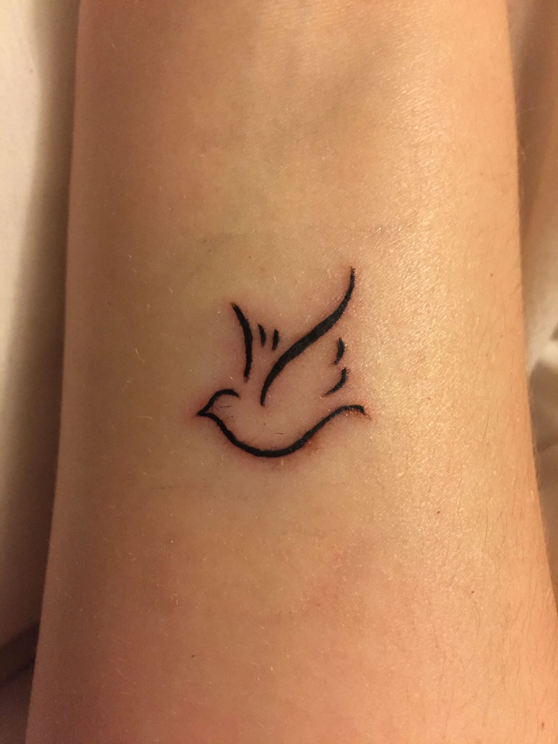 The Meaning of Dove Tattoo Symbolism, History, and Designs