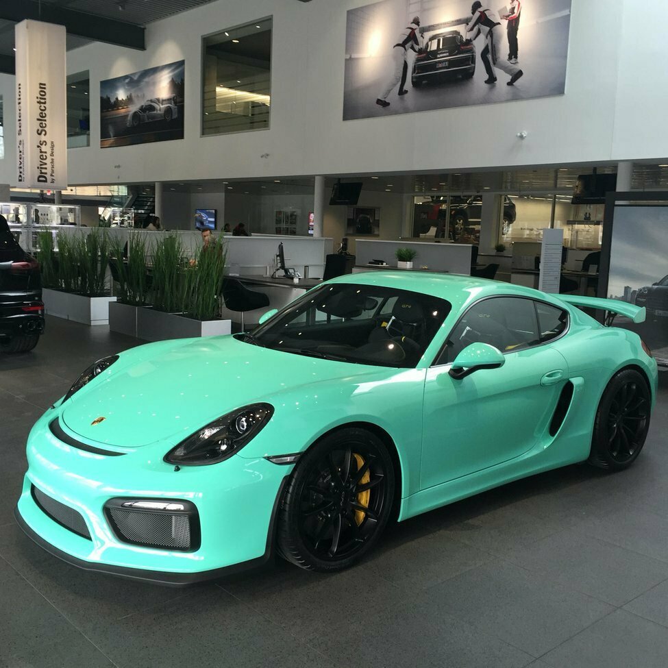 What Color Goes with Mint Green A Comprehensive Guide