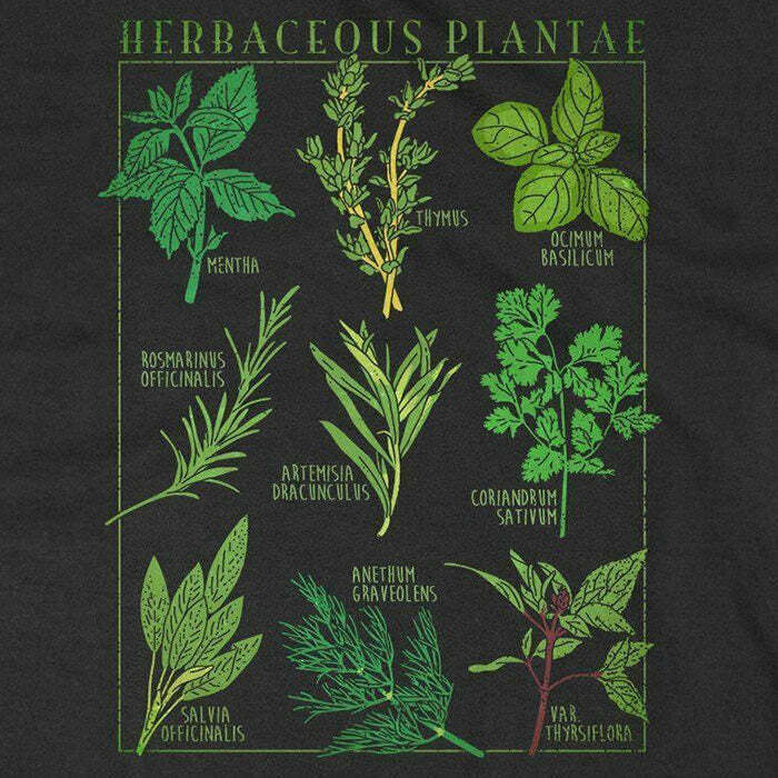 Y2K Grunge Herbaceous Plantae T-Shirt - Retro 90s Fashion, Summer Outfits, and Past